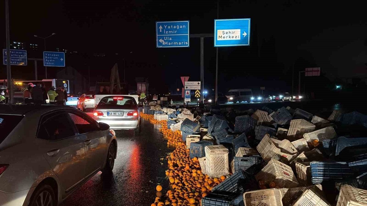 Muğla'da tonlarca narenciye yere döküldü