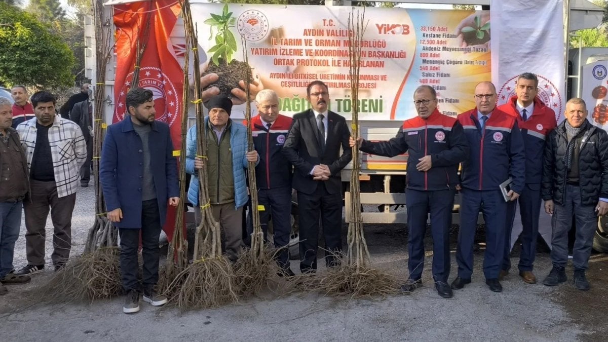 Sultanhisar’da 6 bin kestane fidanı dağıtıldı