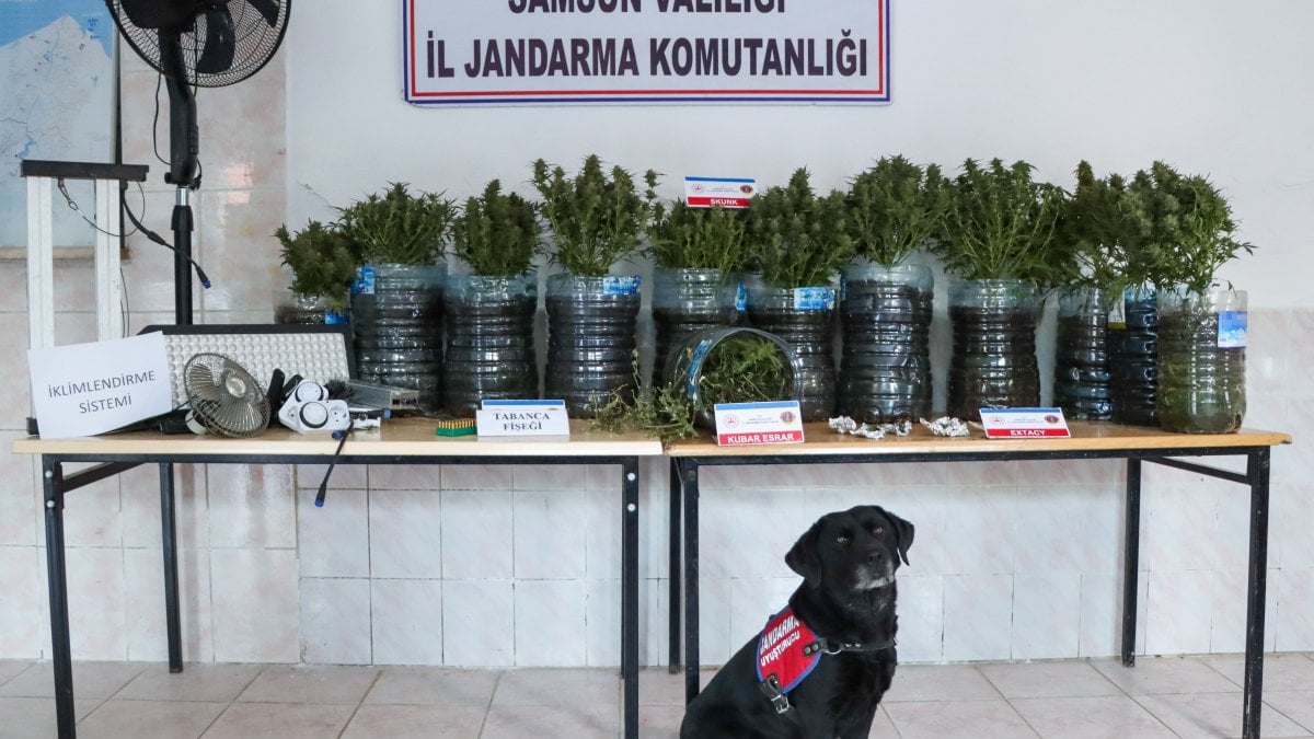 Samsun'da evin içi uyuşturucu fabrikası çıktı!