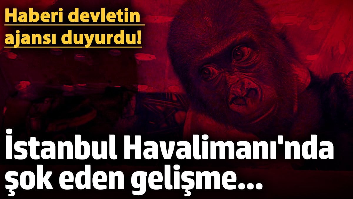 İstanbul Havalimanı'nda şoke eden gelişme... Haberi devletin ajansı duyurdu!