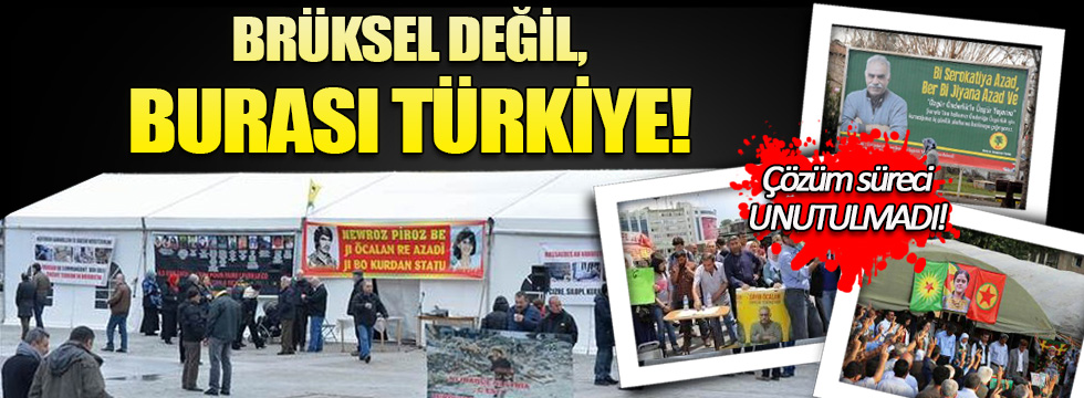 Brüksel'deki çadıra kızanlar... Bakın Türkiye'de neler olmuştu!
