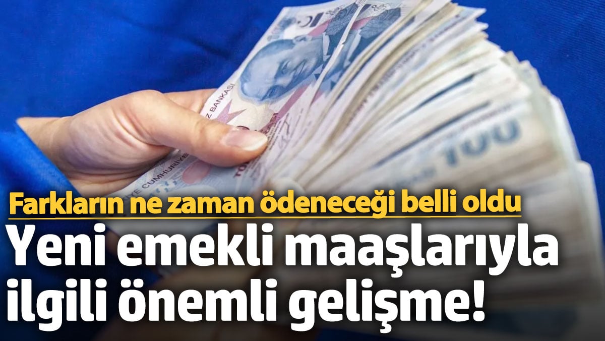 Yeni emekli maaşları ile ilgili önemli gelişme! Oranlar e-Devlet'ten öğrenilebilecek