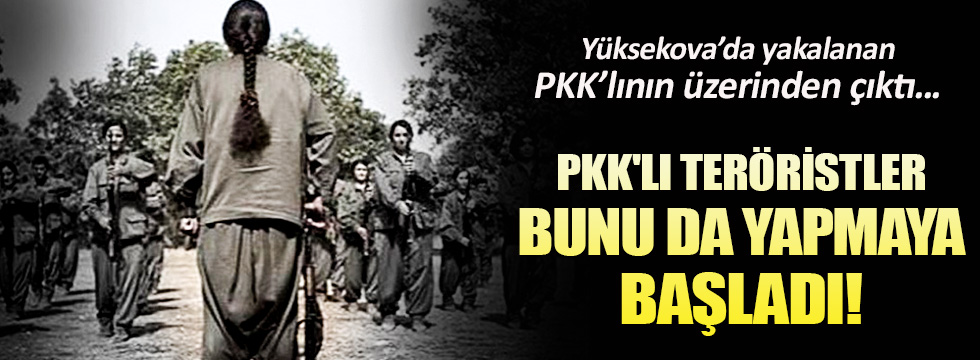 PKK'lı teröristler hırsızlık da yapmaya başladı