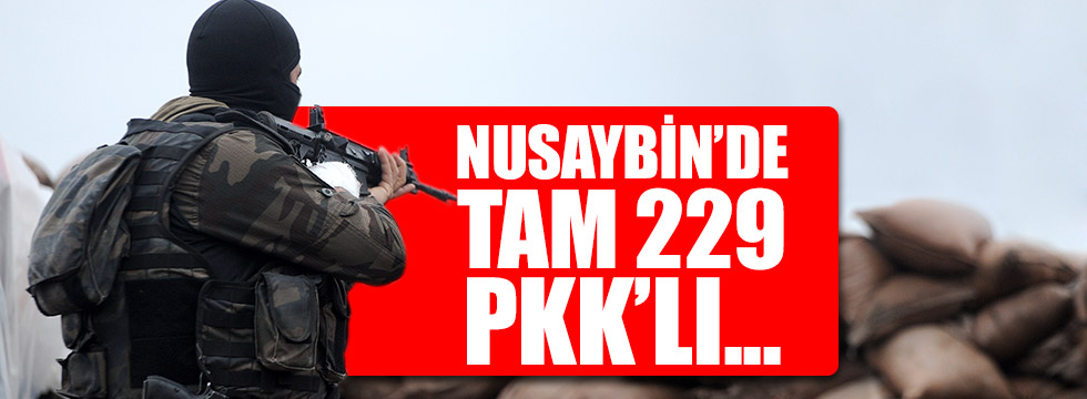 Nusaybin'de 229 PKK'lı etkisiz hale getirildi