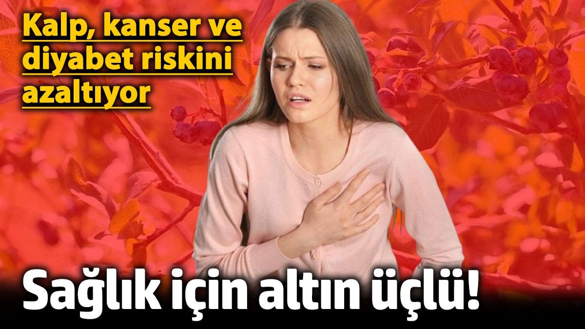 Sağlık için altın üçlü! Kalp, kanser ve diyabet riskini azaltıyor