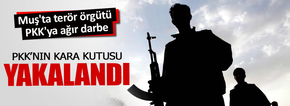 Muş'ta terör örgütü PKK'ya ağır darbe