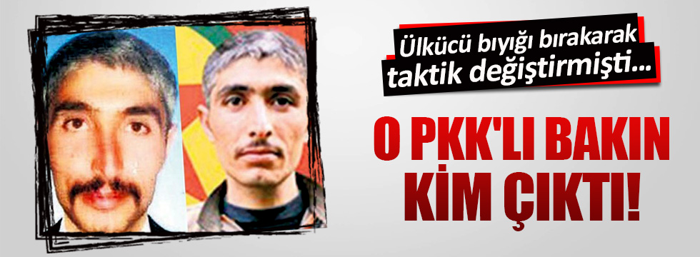 O PKK'lı Zübeyir Aydar'ın yeğeni çıktı