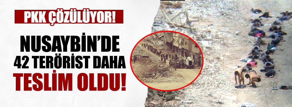 Nusaybin'de 42 PKK'lı Terörist Daha Teslim Oldu