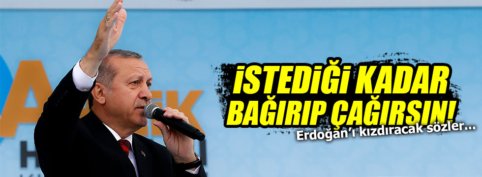 Almanya Adalet Bakanı'ndan Erdoğan açıklaması