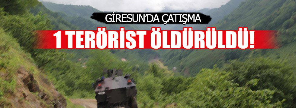 Giresun'da 1 terörist öldürüldü!