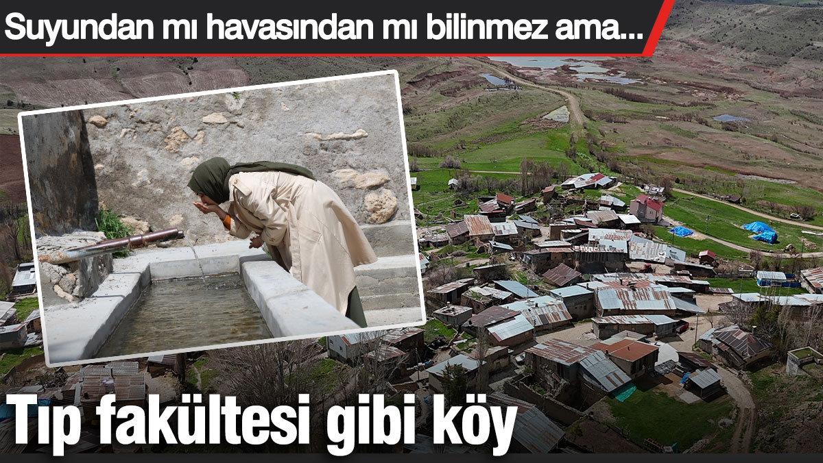 Tıp fakültesi gibi köy! Suyundan mı havasından mı bilinmez ama...