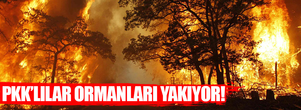 PKK'lı teröristler ormanları yakıyor