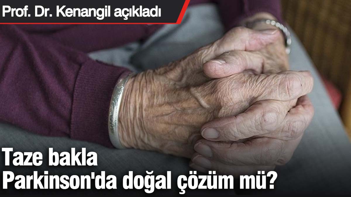 Taze bakla, Parkinson'da doğal çözüm mü? Prof. Dr. Kenangil açıkladı