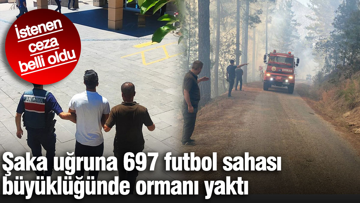 Şaka uğruna 697 futbol sahası büyüklüğünde ormanı yaktı! İstenen ceza belli oldu