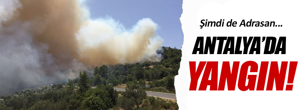 Antalya'da yangın!