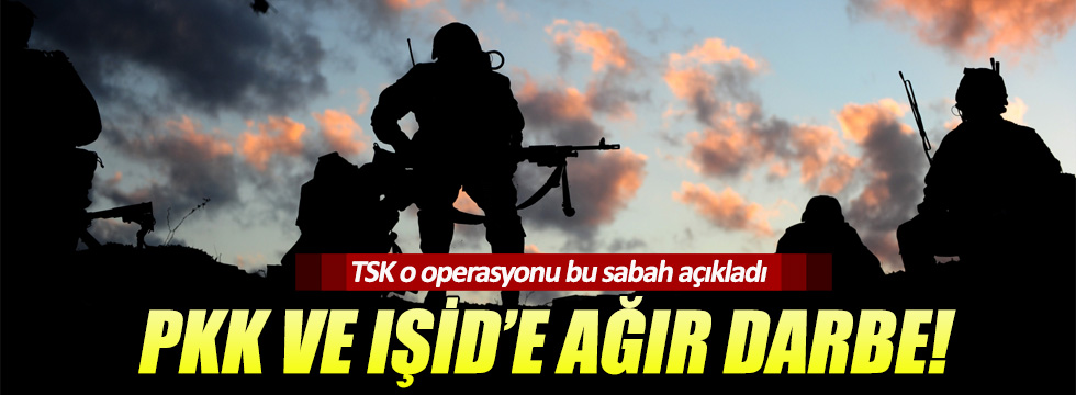 TSK hem PKK'yı hem IŞİD'i vuruldu