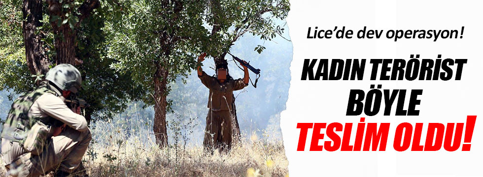 Lice'deki operasyonlarda 2 PKK'lı öldürüldü!