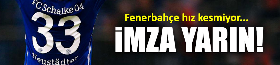 Fenerbahçe, Neustadter transferini resmen bitirdi