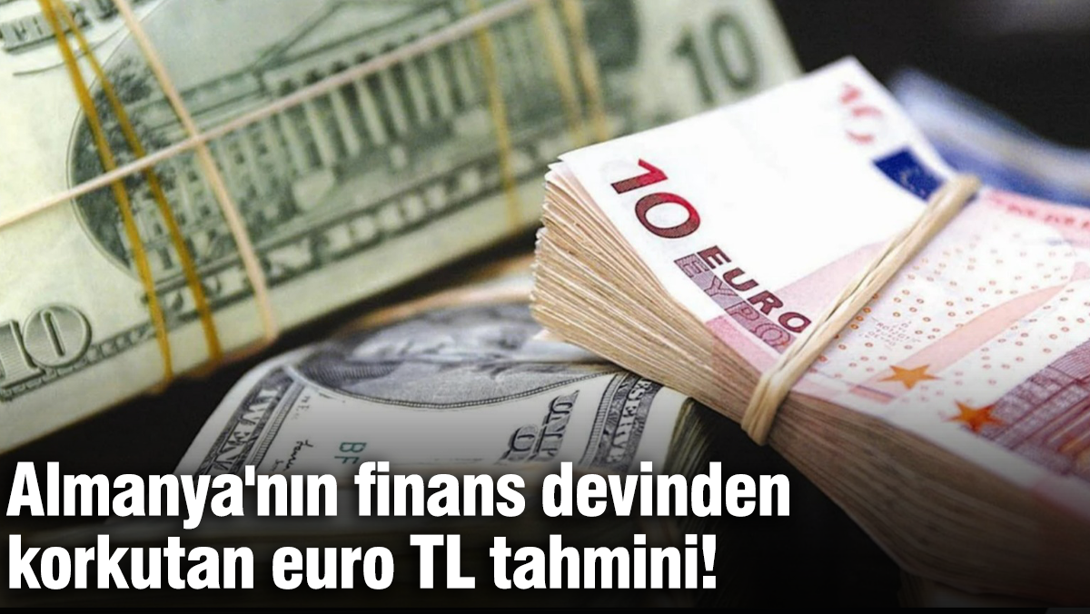 Alman Bankasının Şok Euro Tahmini: Türk Lirası İçin Risk Uyarısı! (2024)