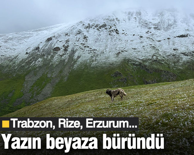 Trabzon, Rize, Erzurum... Yaz ortasında beyaza büründü