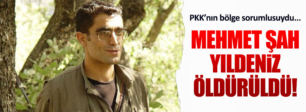 PKK'nın bölge sorumlusu öldürüldü!