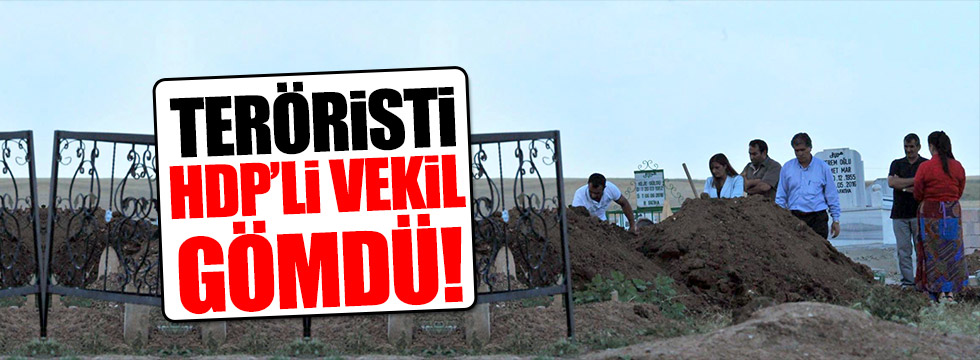 Teröristi HDP'li vekil gömdü!