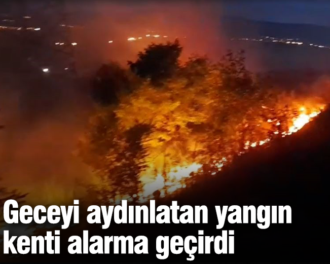Anız ve fidanlık yangını geceyi aydınlattı