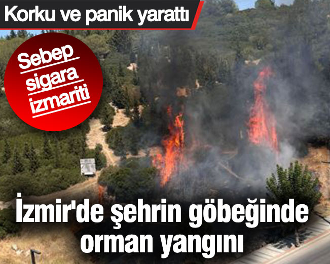 İzmir'de şehrin göbeğinde orman yangını. Korku ve panik yarattı. Sebep sigara izmariti