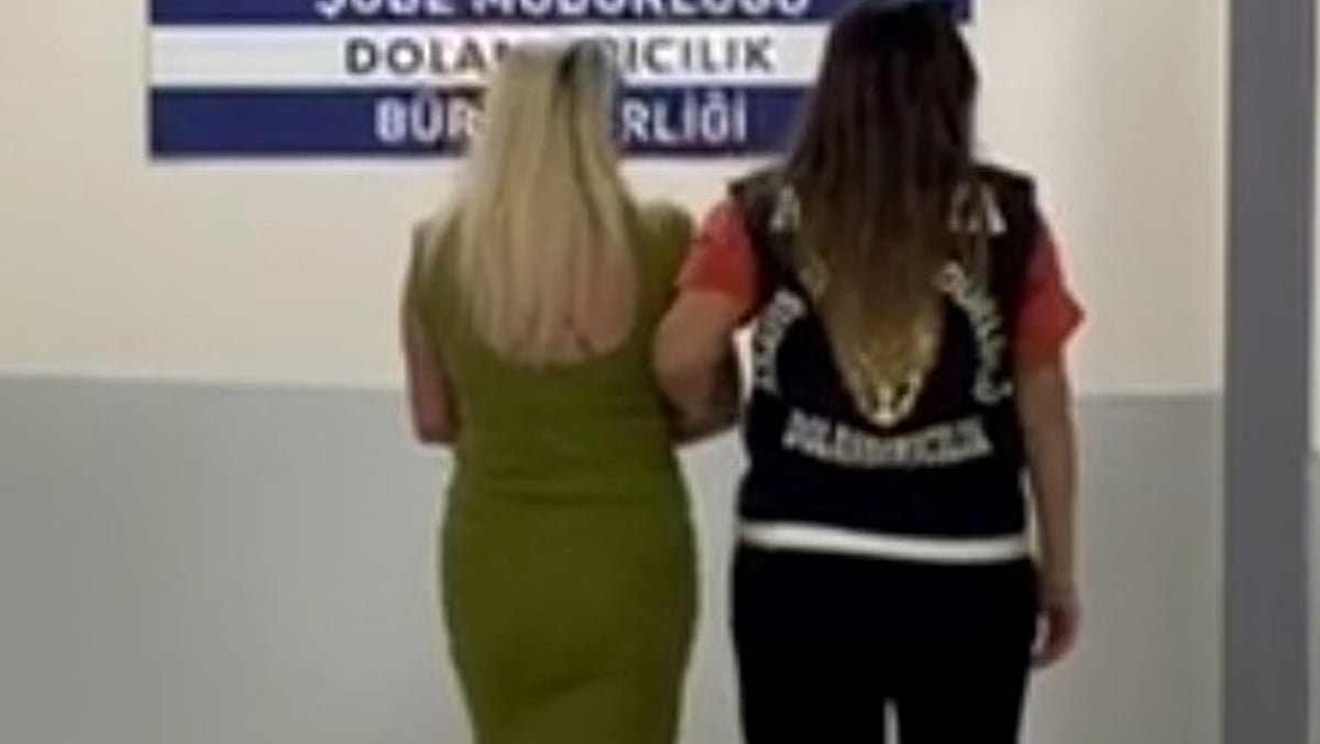 Antalya’da milyonluk vurgun! Orman mühendisi gözaltına alındı