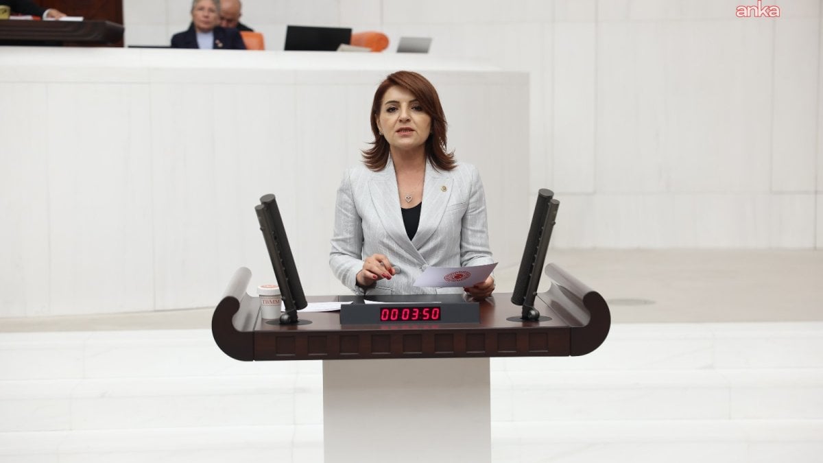 CHP'li Kış, Bakan Şimşek'e borçlanmanın gerekçelerini sordu