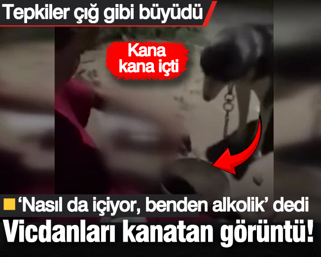 Vicdanları kanatan görüntü! Kana kana içti: “Benden alkolik” dedi