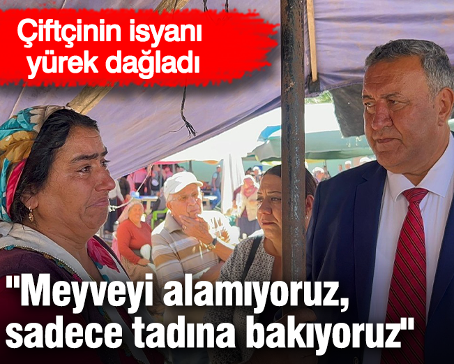Çiftçinin isyanı  yürek dağladı!  "Meyveyi alamıyoruz,  sadece tadına bakıyoruz"
