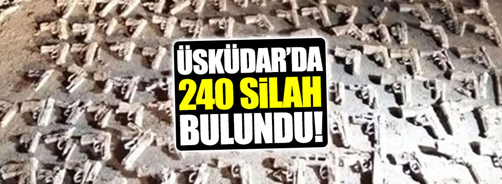 Üsküdar'da toprağa gömülü 240 silah bulundu