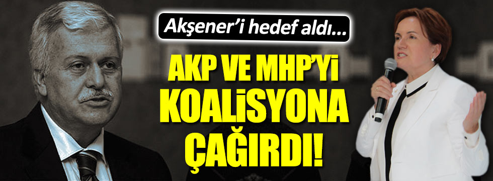 Gülen'in 1 numaralı adamından AKP ve Bahçeli'ye çağrı