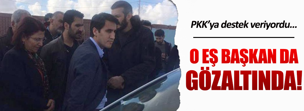 DBP Eş Genel Başkanı Yüksek gözaltına alındı