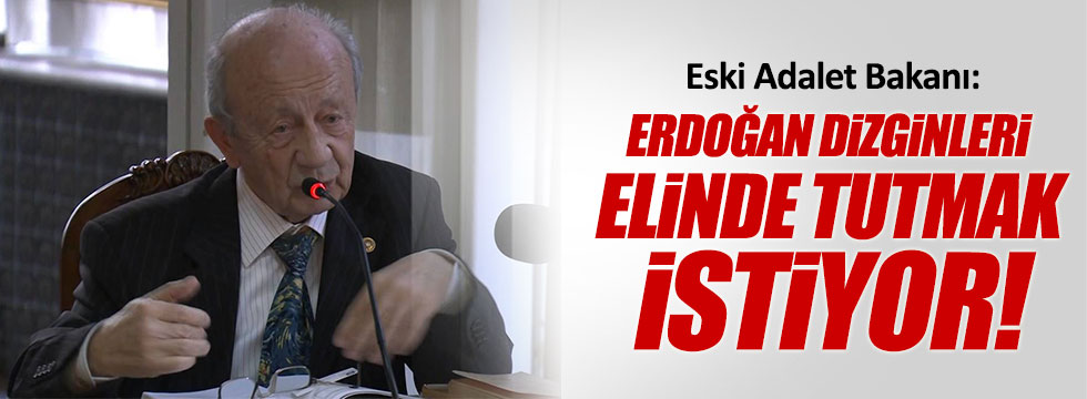 Hikmet Sami Türk: Erdoğan dizginleri elinde tutmak istiyor