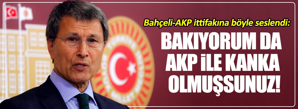 Halaçoğlu: "Bakıyorum da AKP ile kanka olmuşsunuz!"