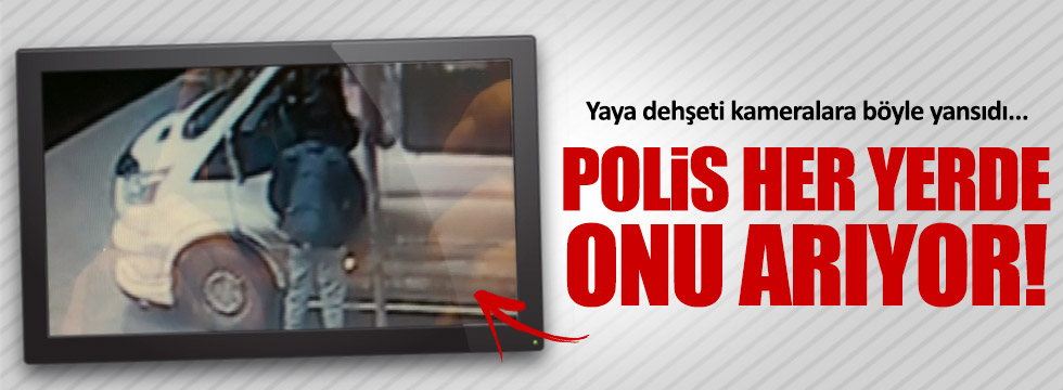 Bursa'da yaya dehşeti kameralara yansıdı