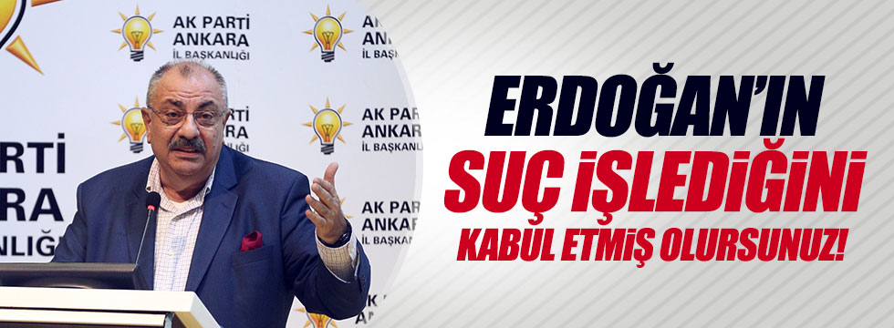 Türkeş, Erdoğan'ın "suç işlediğini" kabul etti