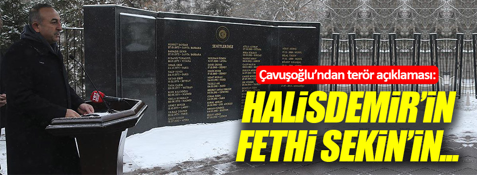 Çavuşoğlu: "Halisdemir'in, Fethi Sekin'in..."