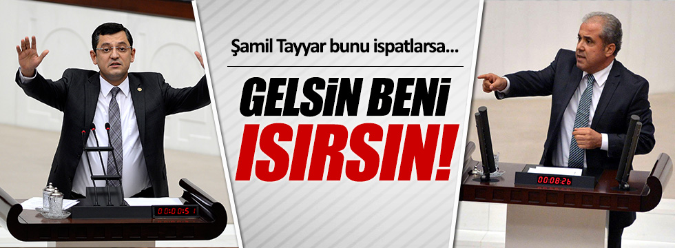 'Isırma' iddiasına CHP'lilerden cevap geldi