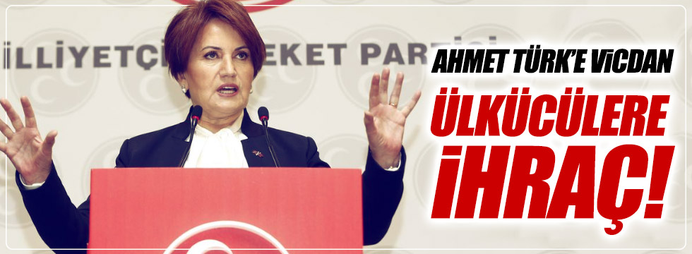 Akşener: "Ahmet Türk'e vicdan, Ülkücülere ihraç!"