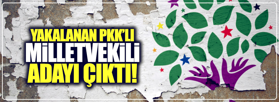 Yakalanan PKK’lı HDP’li eski milletvekili adayı çıktı