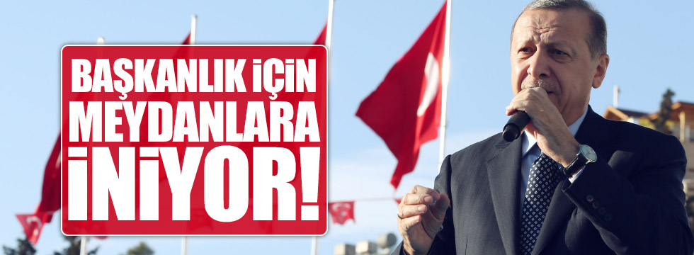 "Erdoğan referandum için sahada olacak"
