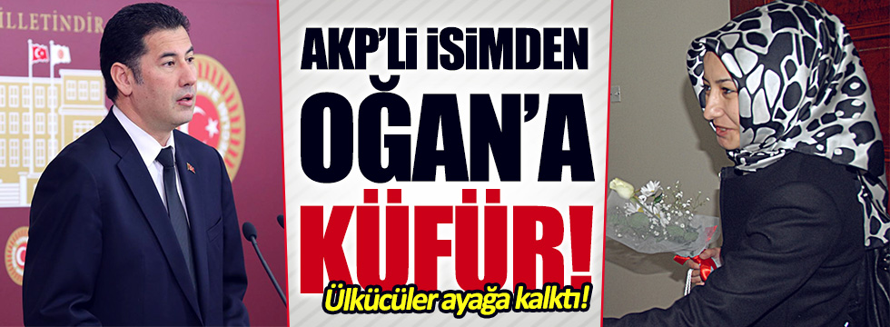 AKP'li Şimşek'ten Sinan Oğan'a küfür!