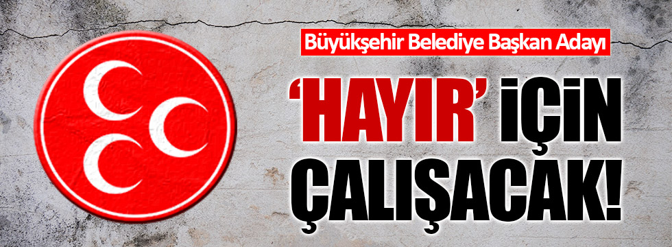 MHP'li Murat Taşer: 'Hayır' için çalışacağım