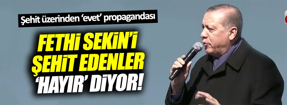 Erdoğan'dan Fethi Sekin üzerinden 'evet' propagandası
