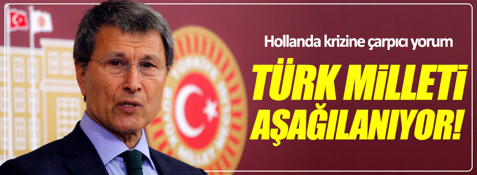 Halaçoğlu: Türk milleti aşağılanıyor