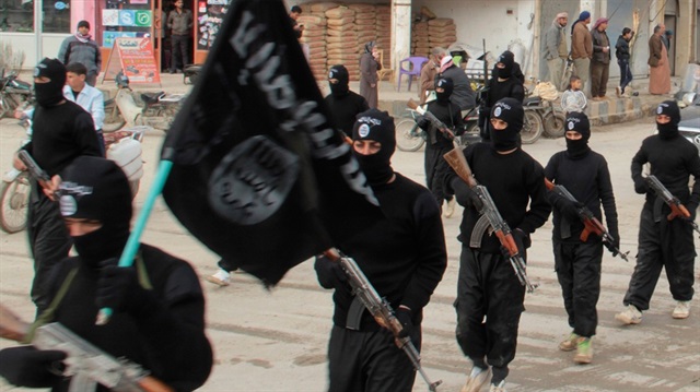 IŞİD'li teröristleri yaban domuzları öldürdü