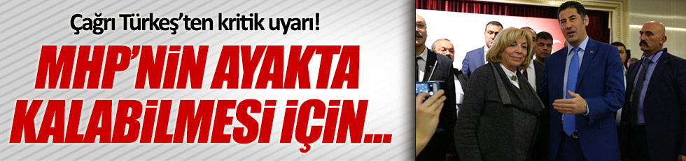 Çağrı Türkeş: MHP'nin ayakta kalabilmesi için 'hayır' diyoruz